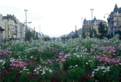 The environment ‘made in Brussels’