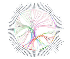 The ‘hierachical edge bunding’ (Holten 2006) visualisation has been suggested and created by the Max Planck Institute’s Digital Humanities coordinator, Andreas Wagner, using the graph-tool library