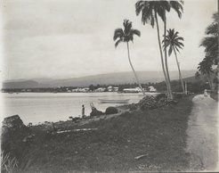 “Apia, von Mulinuu aus gesehen. Samoa 1914. Ohle.” MARKK Collection Samoa